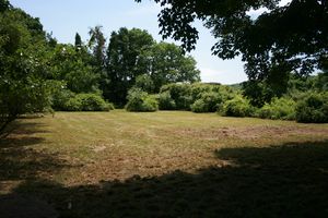 gal/251 North West St. - 2006-2007/tn_070621 Pasture View.jpg
